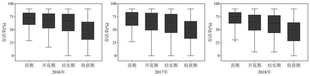 Molecular marker closely linked with bacterial wilt resistance of cultivated peanuts and application of molecular marker