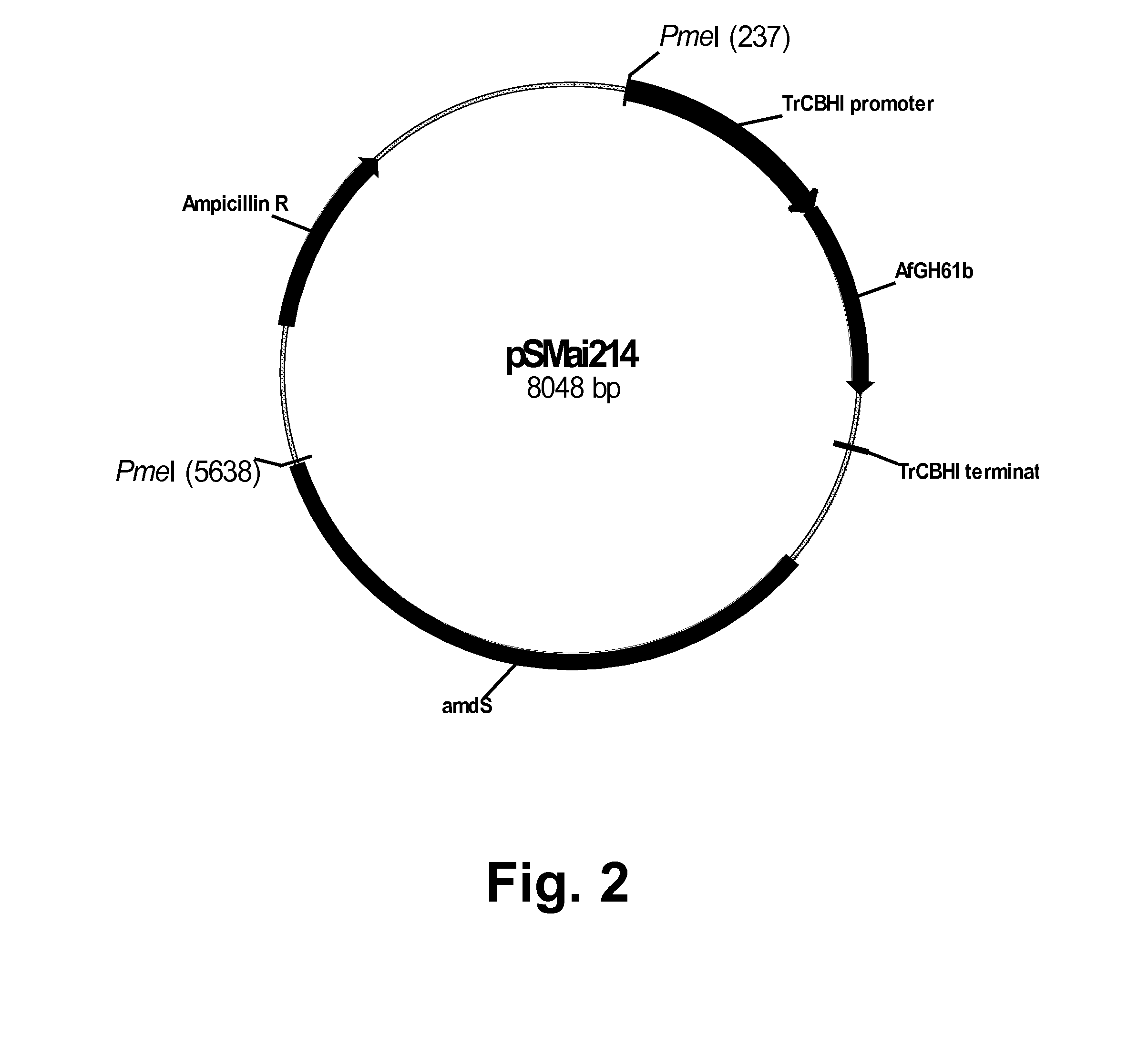 Methods For Producing Multiple Recombinant Polypeptides In A Filamentous Fungal Host Cell