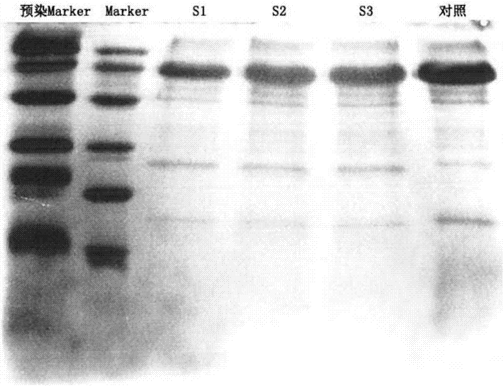 Slow virus purification method