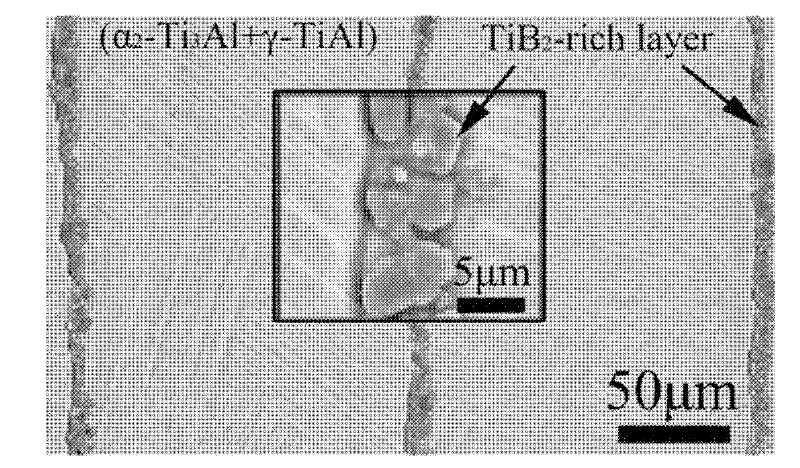 Ceramic-TiAl micro-laminated composite material board and preparation method thereof