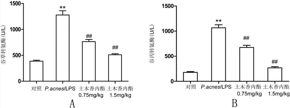 Application of alantolactone in preparing medicine for preventing liver injury