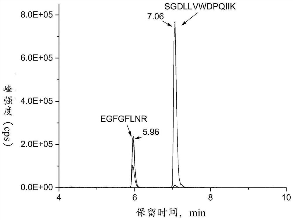 A kind of exclusive characteristic peptide segment and the method for identifying sea cucumber species using the same