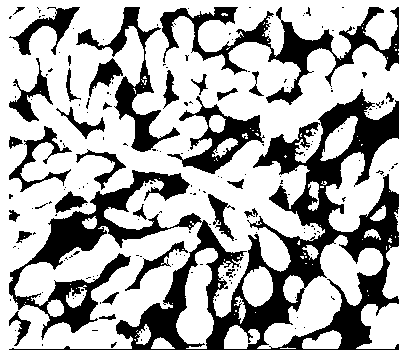 Space-induced efficient bifidobacterium longum, application thereof, and preparation method of capsule preparation thereof