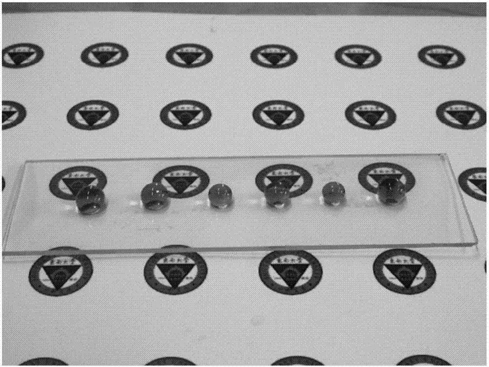 Transparent super-hydrophobic glass with anti-fog and dewdrop self-cleaning functions and preparation method of transparent super-hydrophobic glass