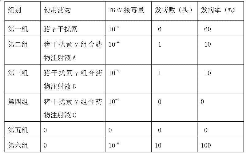 Porcine interferon-gamma composite medicament and application thereof