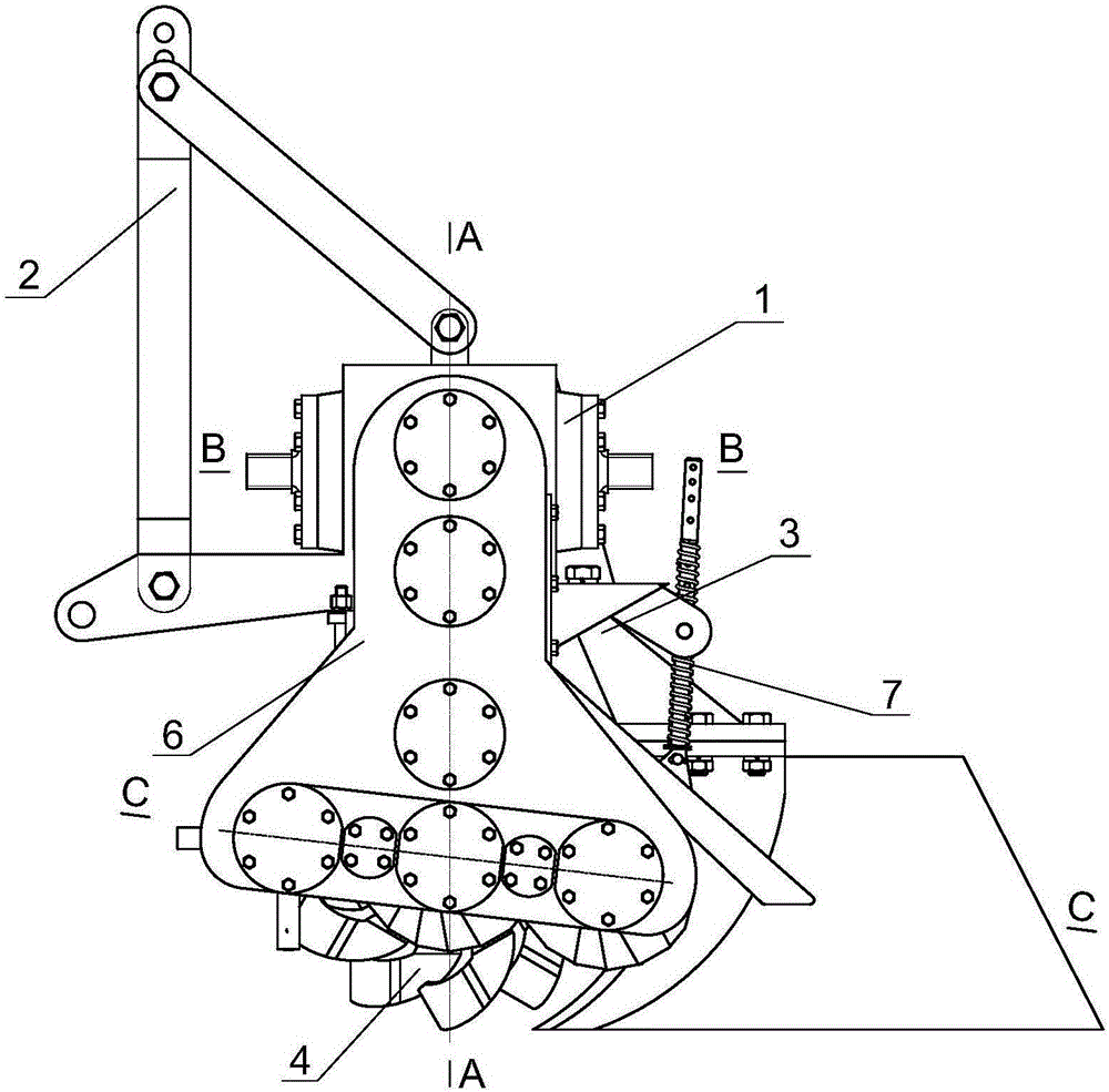 Sprocket combining multispindle shallow ploughing ditching device used for Brassica campestris L. transplanting