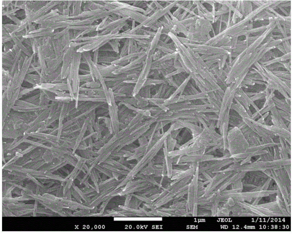 Composite diaphragm material and preparation method and application thereof