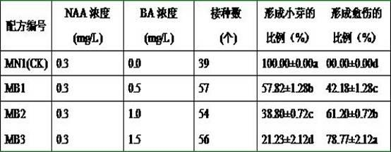 Manufacture method of angiopteris esculenta tube flowers