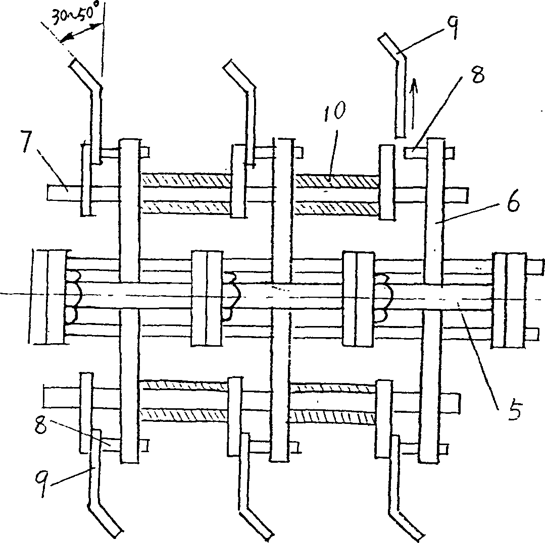 Method for picking storing and planting root and stem of lawn