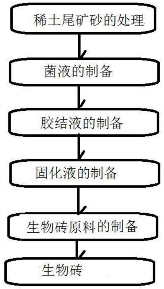 Method for preparing biobrick by using microorganisms to induce calcium carbonate precipitation and solidify rare earth tailing sand