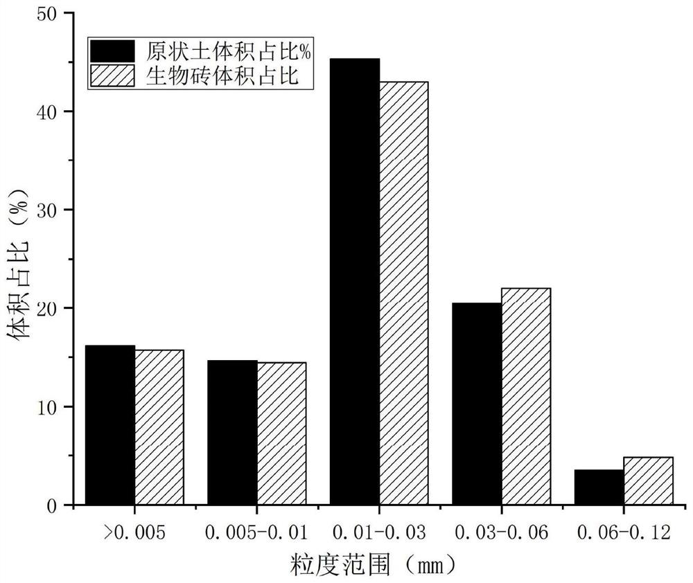 Method for preparing biobrick by using microorganisms to induce calcium carbonate precipitation and solidify rare earth tailing sand