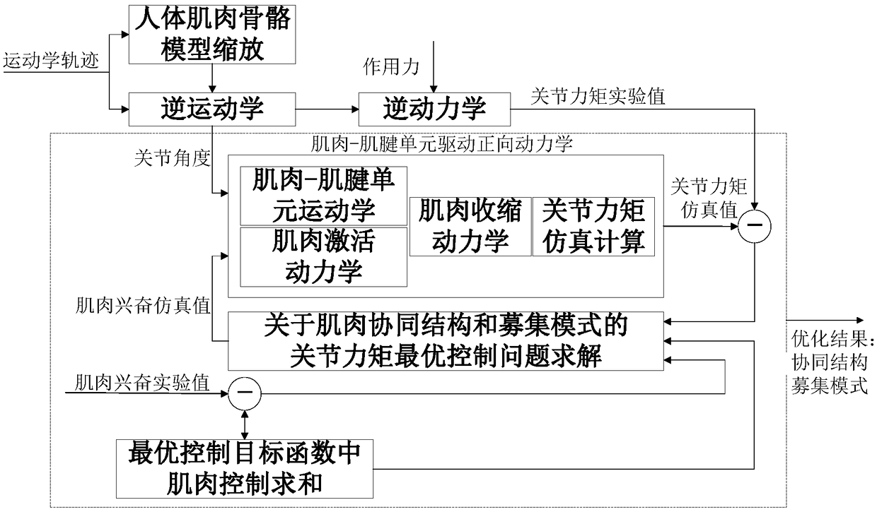 Muscle synergy analysis method based on human dynamics modeling and surface EMG signal correction