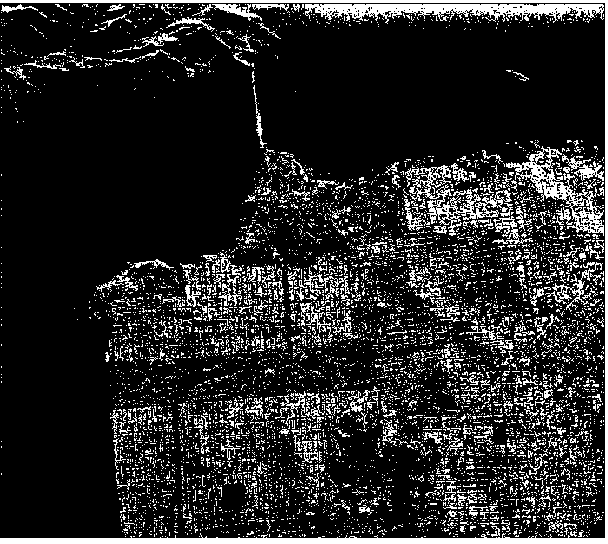 Low-rank-represented polarization SAR image classification method based on superpixel features