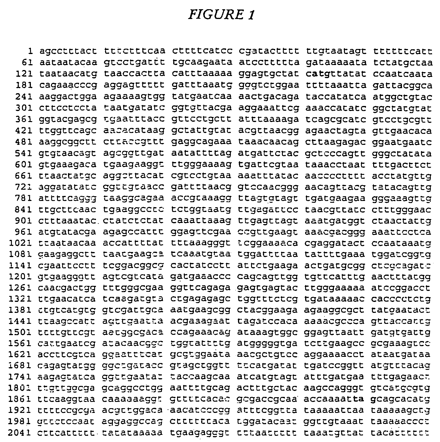 Microbial beta-glucuronidase genes, gene products and uses thereof