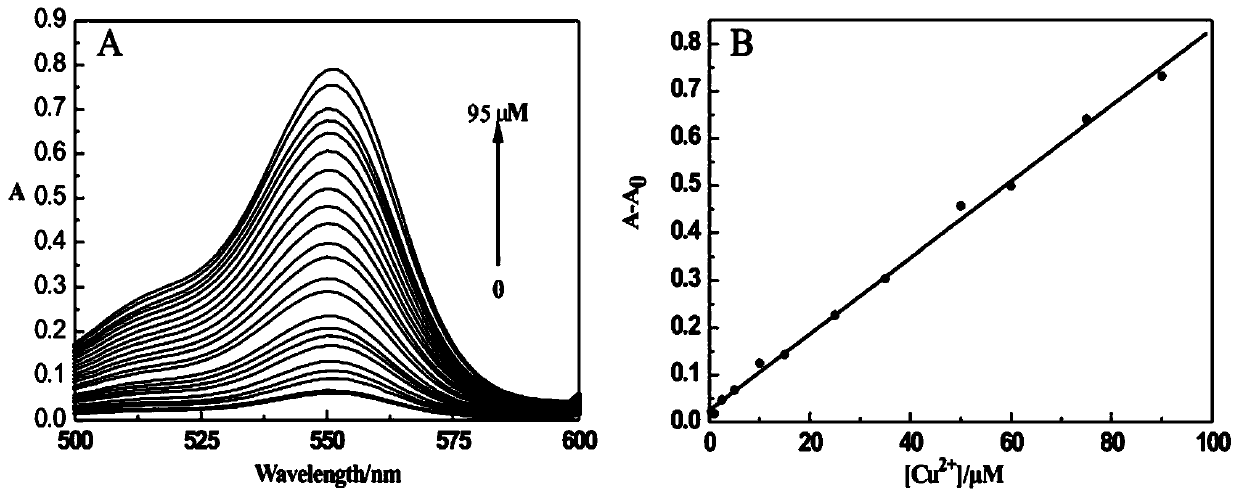 Preparation and application of aminoacylmethyl-(2-methylaminofuran)rhodamine amide derivative