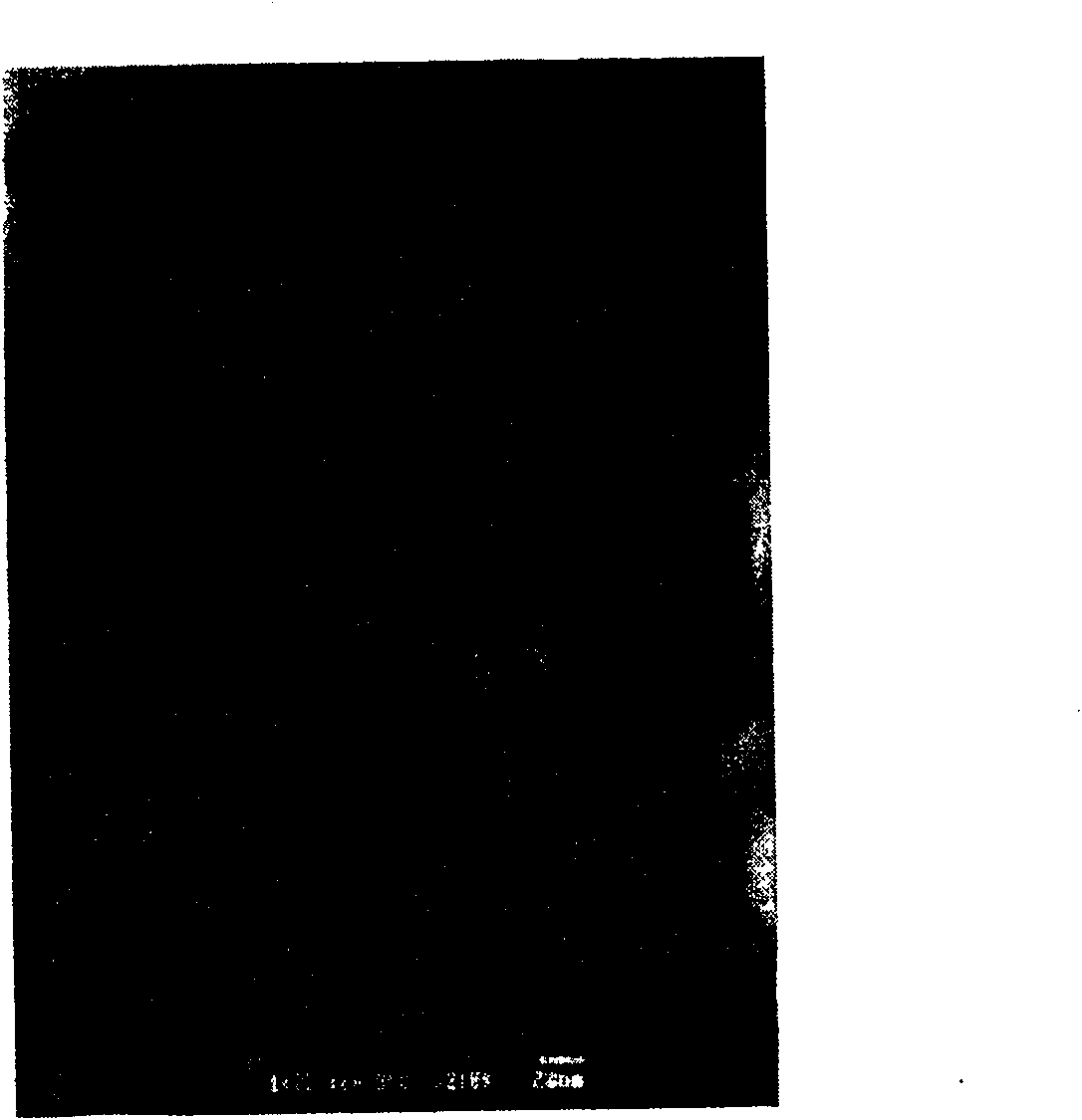 Method for fabricating block body of nano pure nickel material