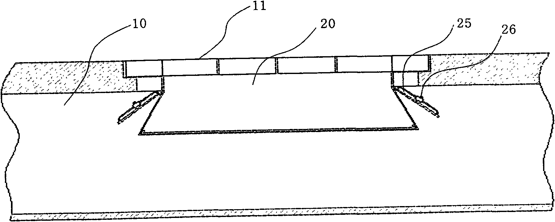 Device for removing malodor of sewage