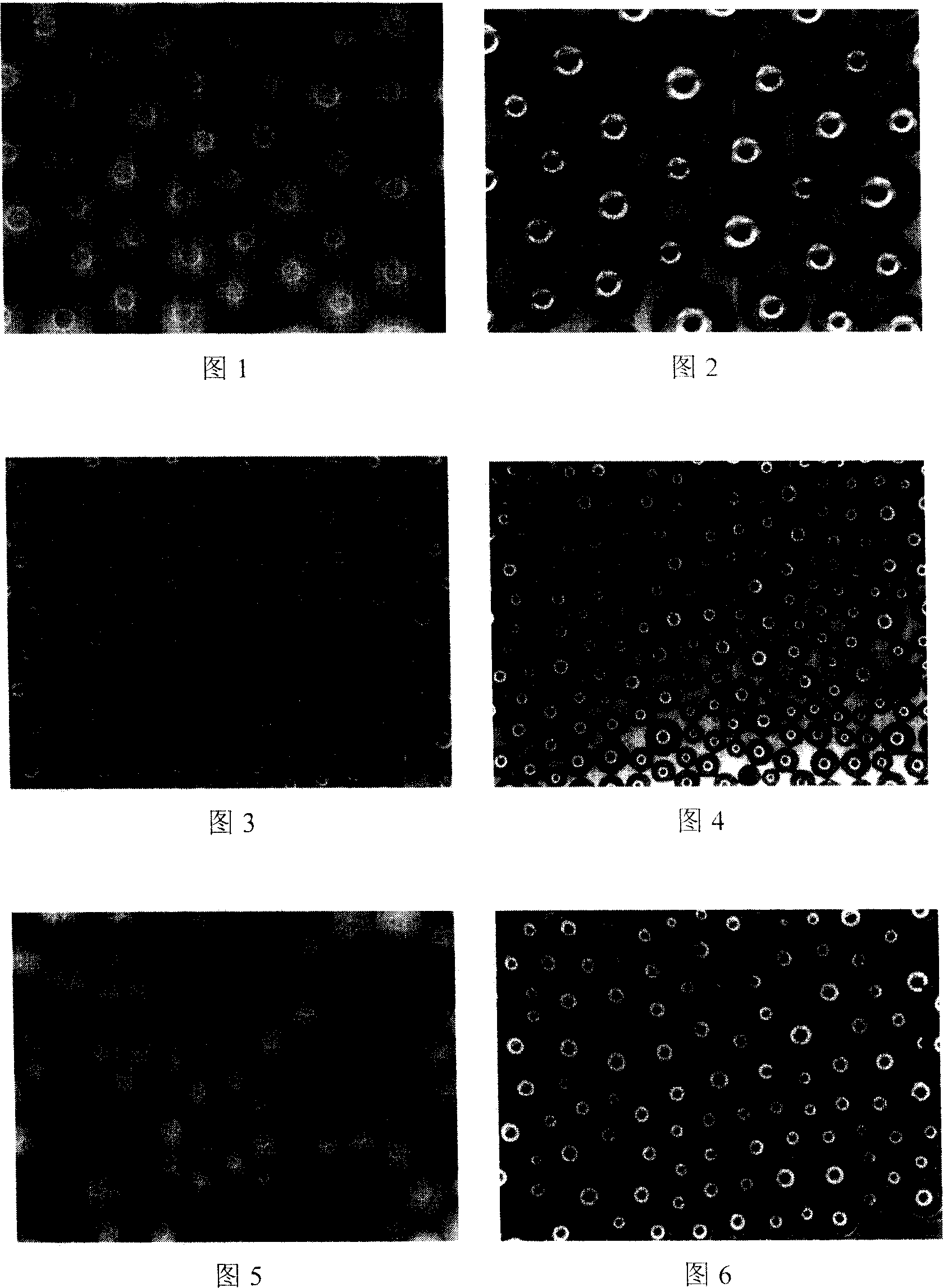 Improved process for preparing porous microsphere active carbon