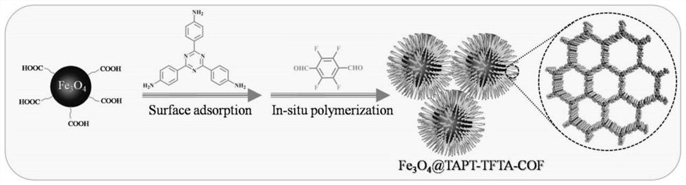 Magnetic fluorinated covalent organic framework material as well as preparation method and application thereof