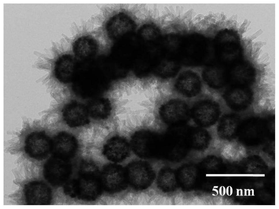 Magnetic fluorinated covalent organic framework material as well as preparation method and application thereof