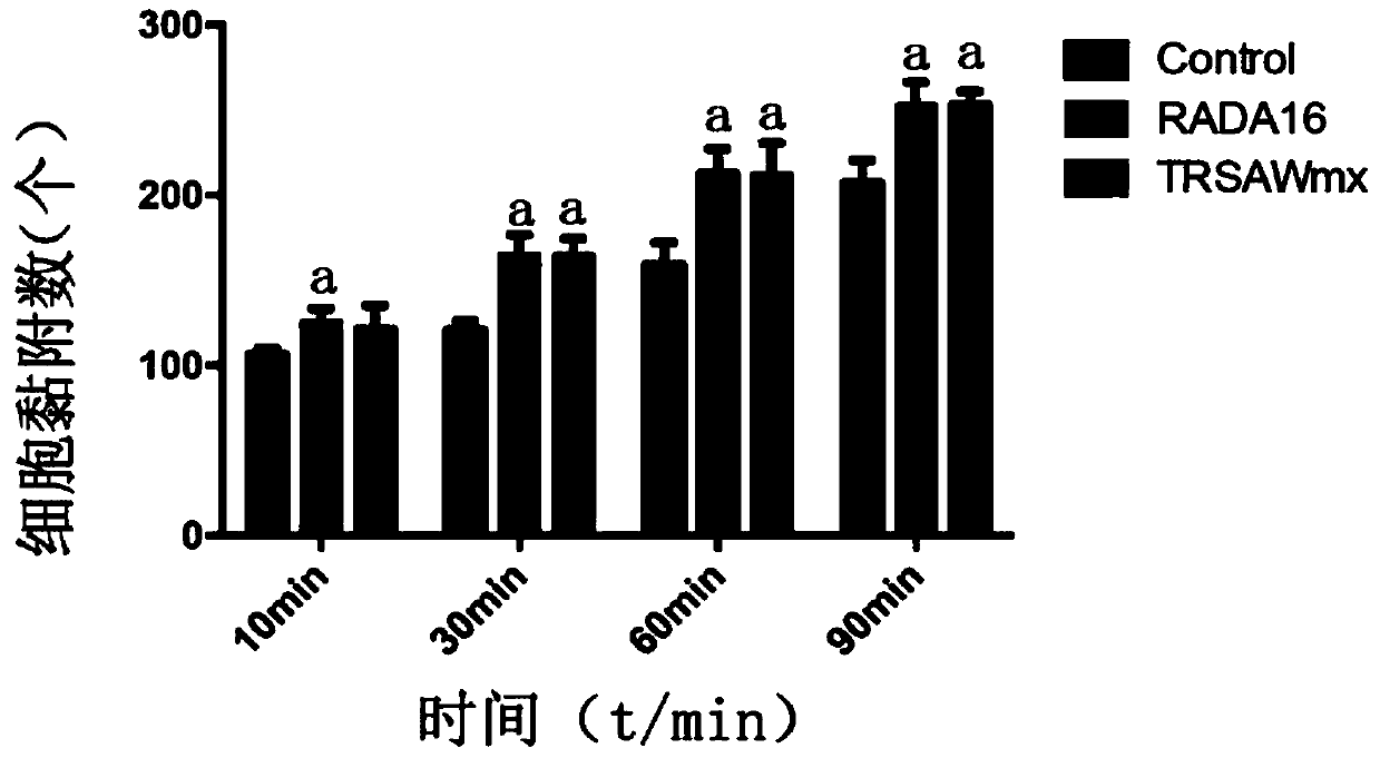 Fusion peptide promoting osteoblast adhesion and osteogenic differentiation, preparation method and application