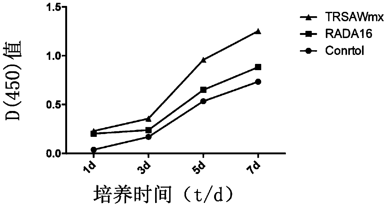 Fusion peptide promoting osteoblast adhesion and osteogenic differentiation, preparation method and application