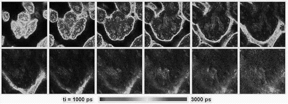 Ultra-sensitive time resolution imaging spectrometer and time resolution imaging method thereof