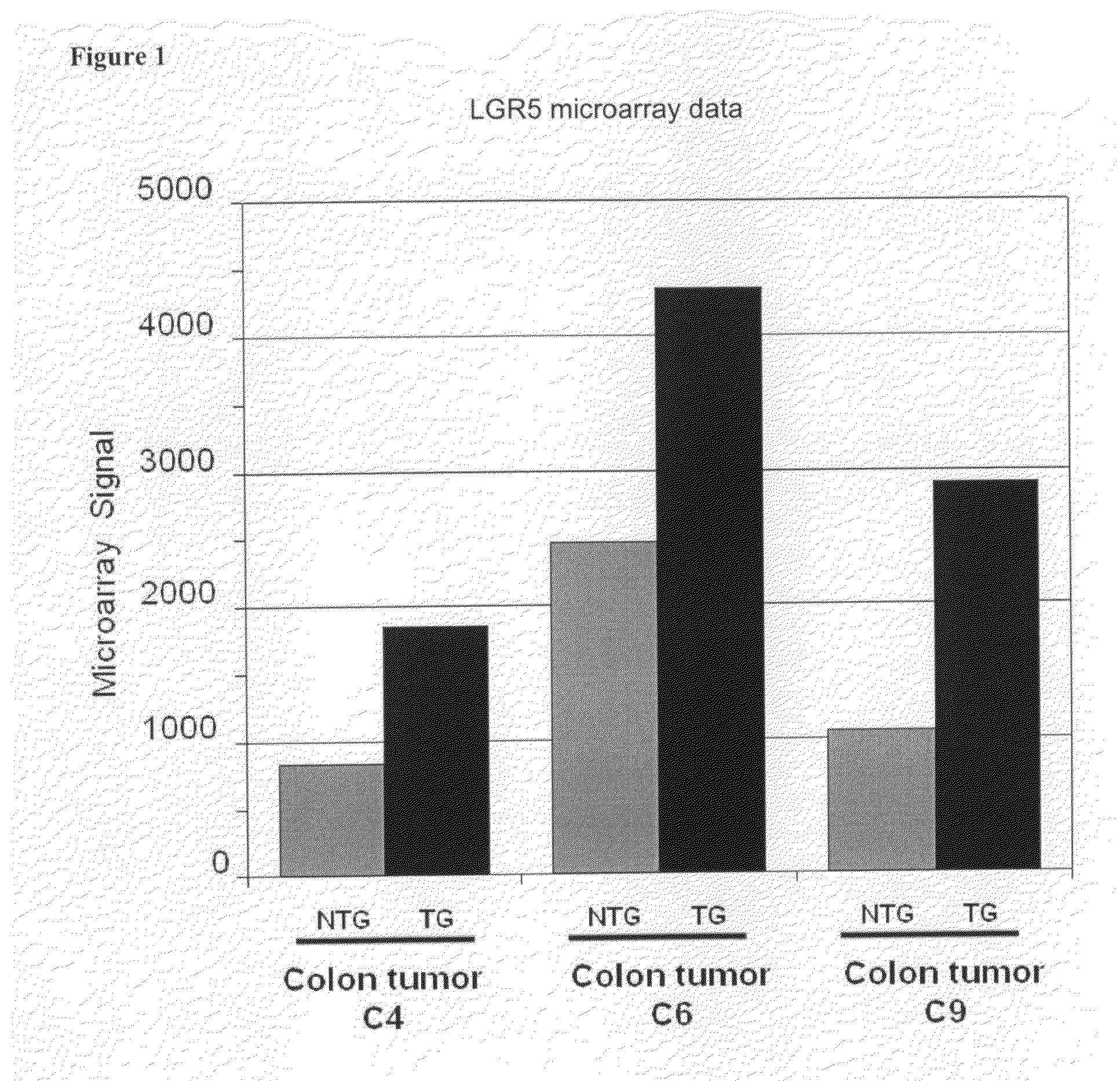 Compositions and Methods for Treating and Diagnosing Cancer