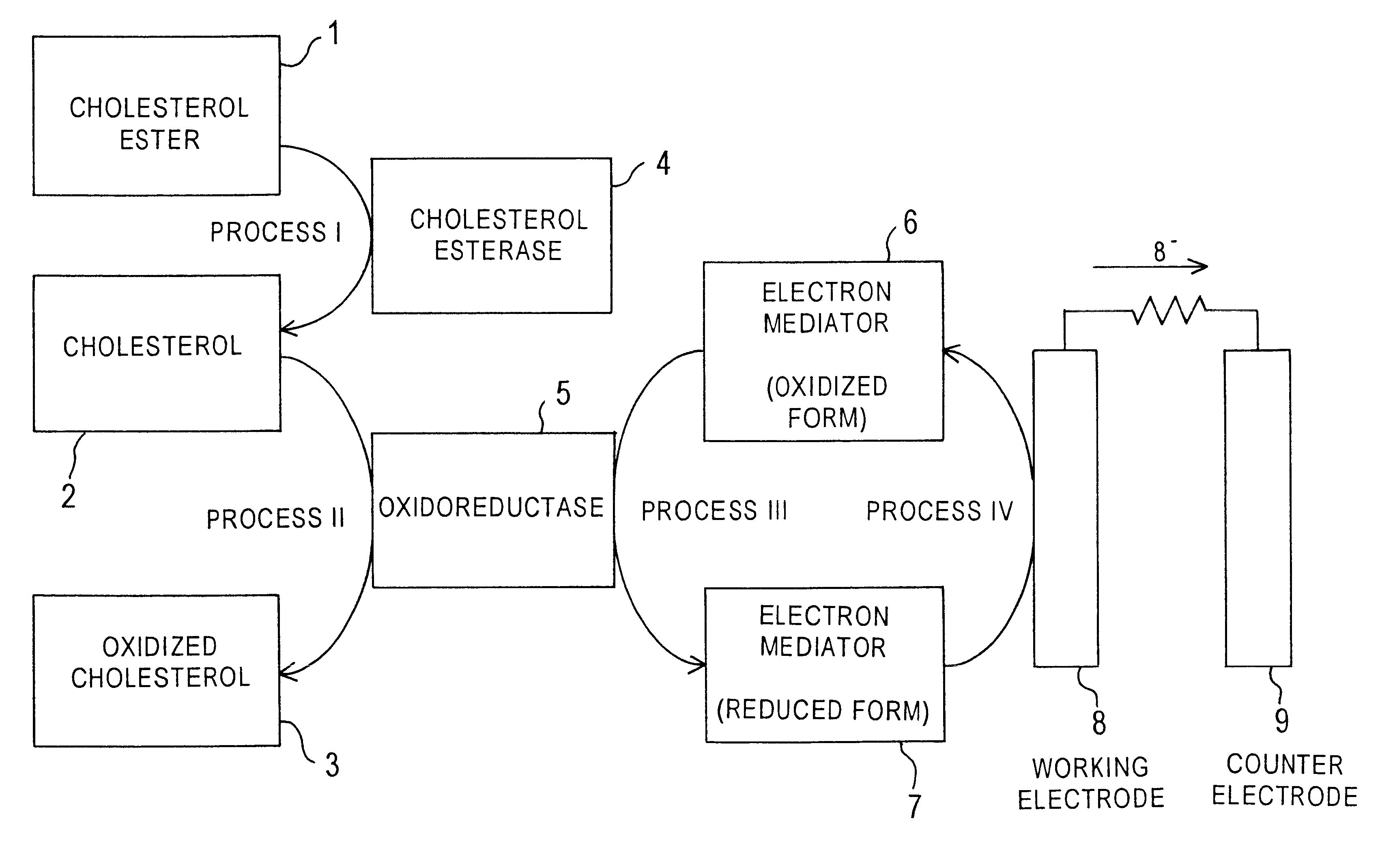 Cholesterol sensor and method of determining cholesterol