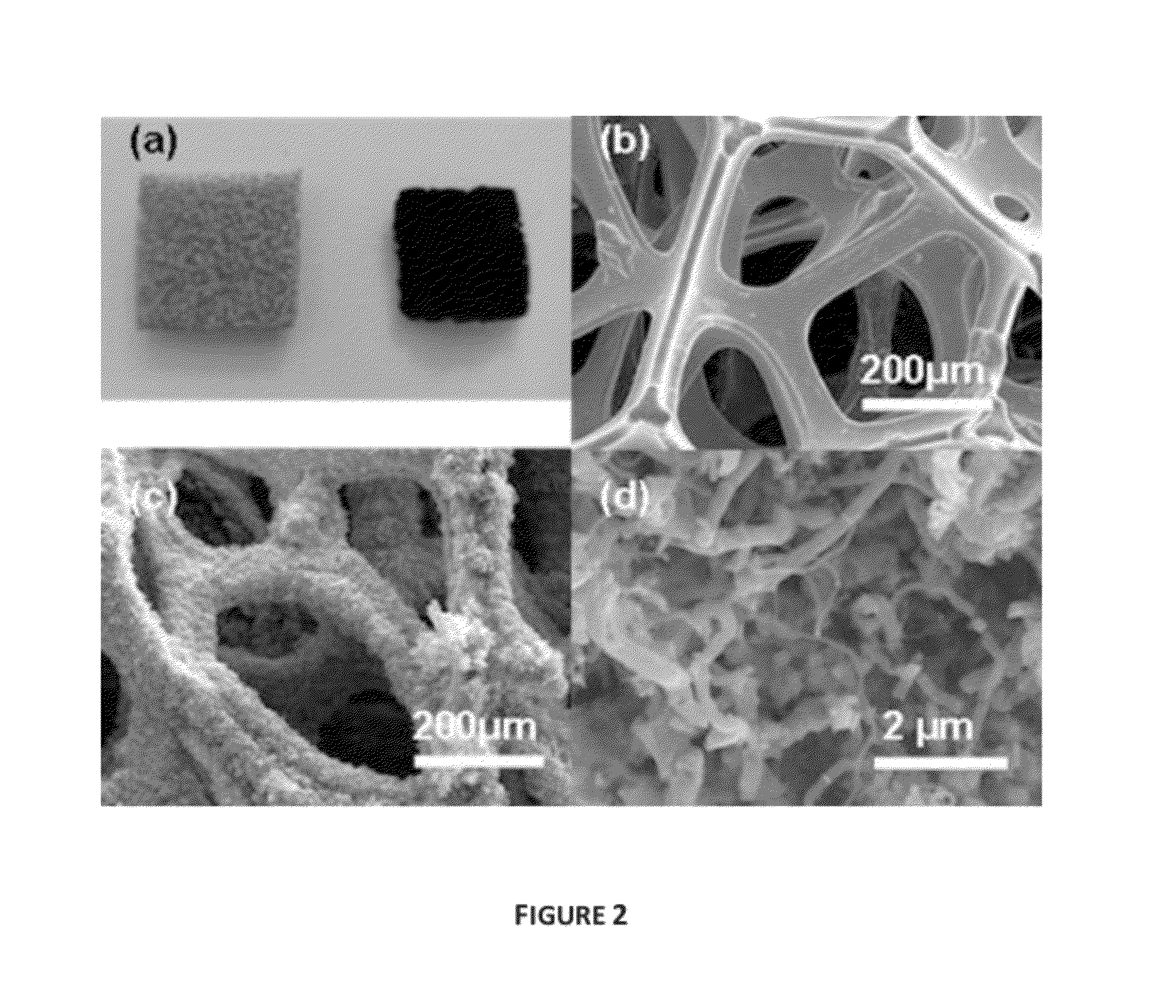 Method of Fabrication of Carbon Nanofibers on Nickel Foam