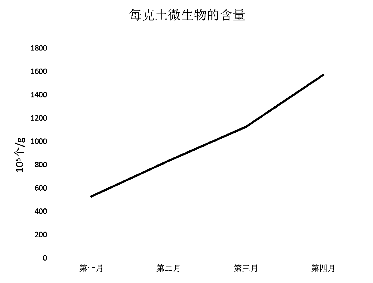 Carbon enzyme active acid combined water-soluble fertilizer and preparation method thereof