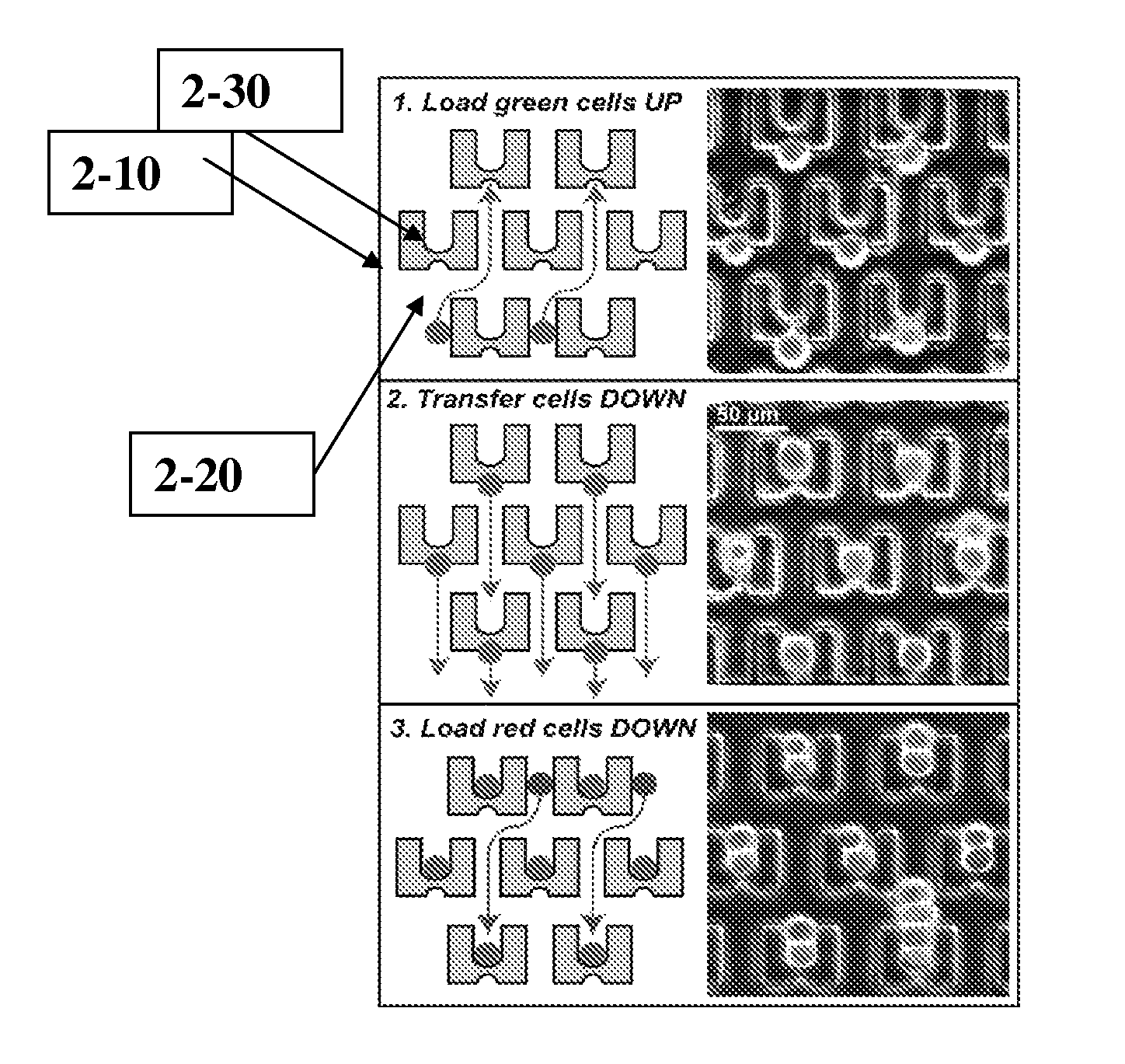 Particle capture devices and methods of use thereof