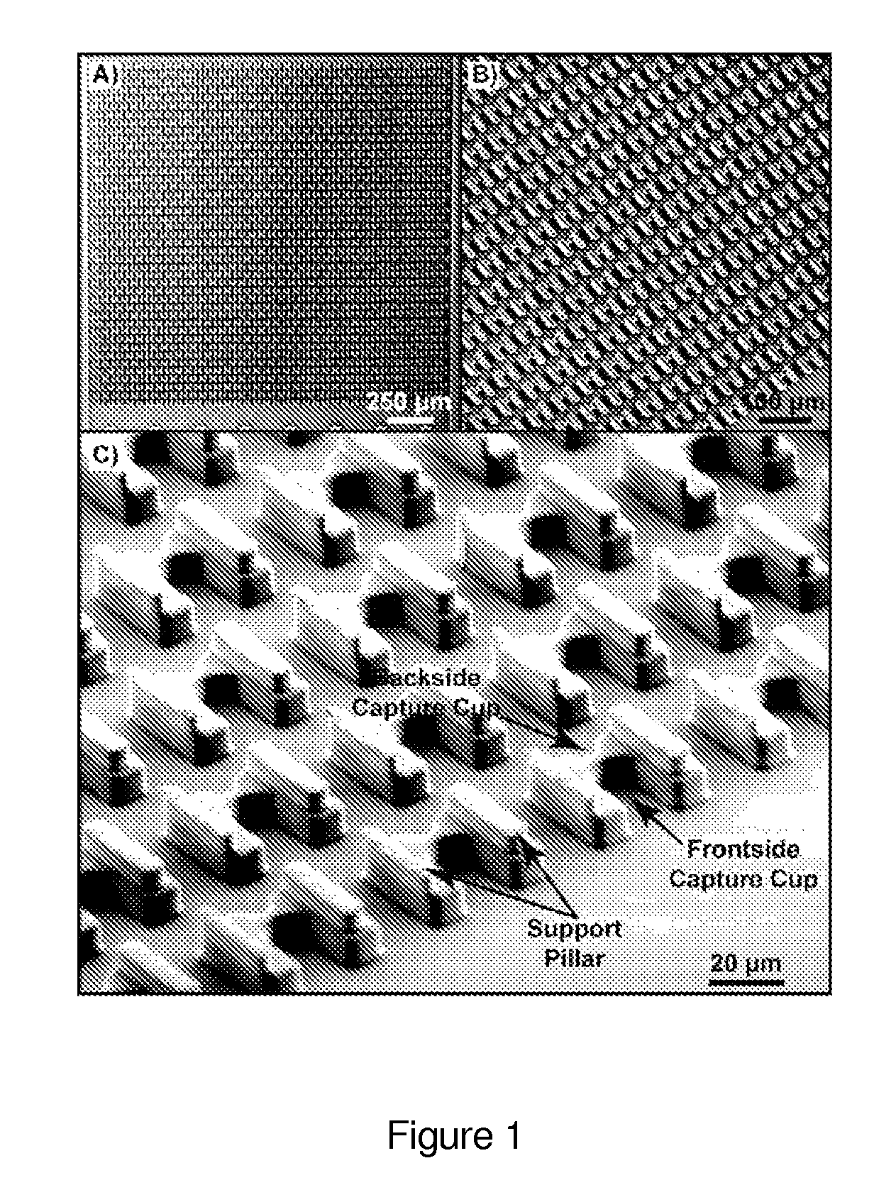 Particle capture devices and methods of use thereof