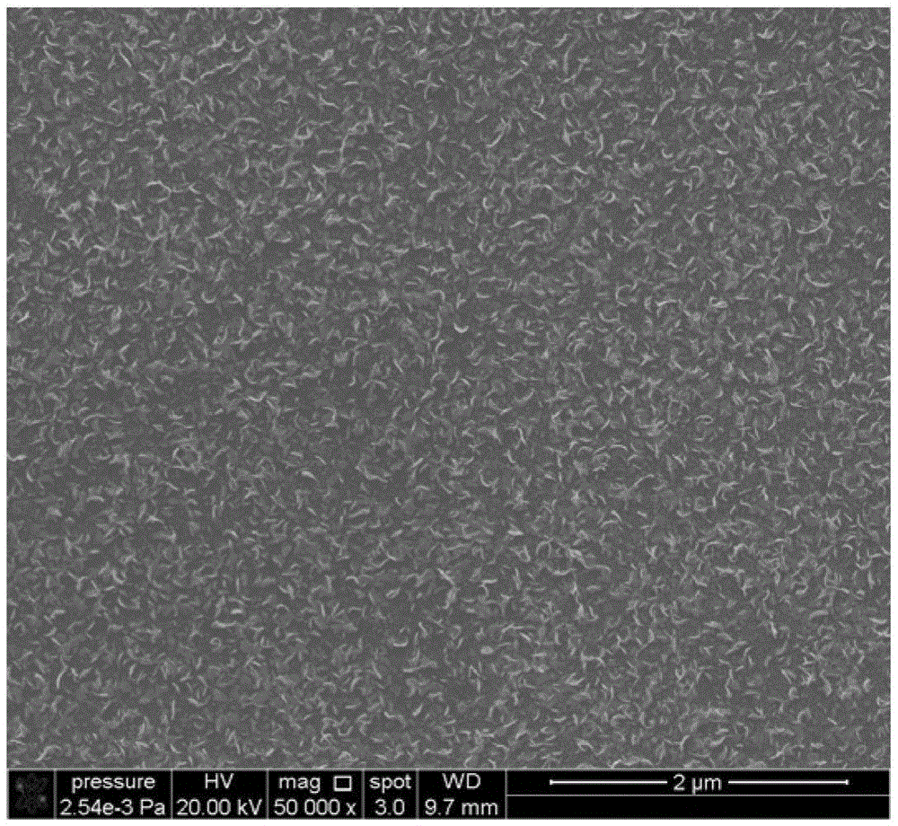 Preparation method of pt/ito electrode for high-efficiency electrocatalytic oxidation of ammonia