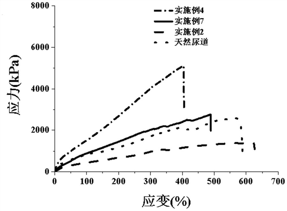 Tubular stent as well as preparation method and application thereof