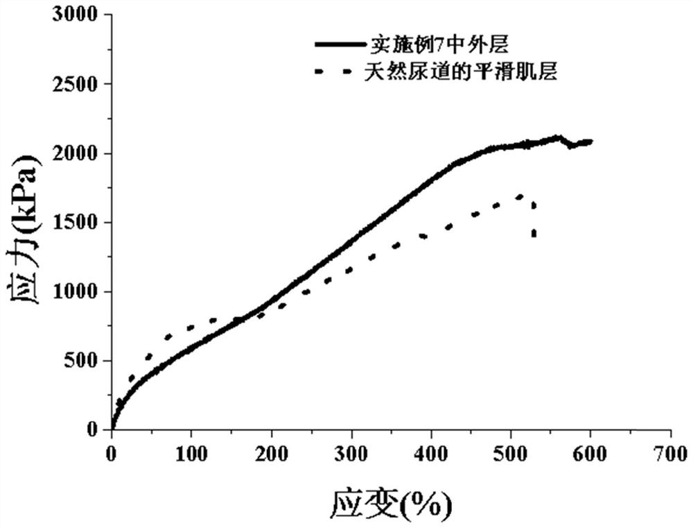 Tubular stent as well as preparation method and application thereof