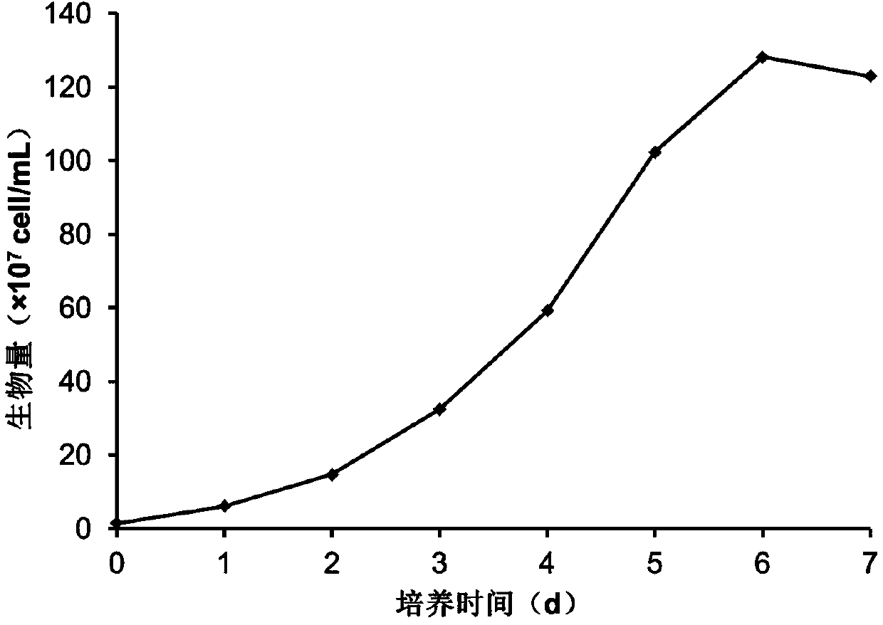 Microalga photosynthetic aerobic high-density fermentation culture method utilizing inorganic nitrogen source and application