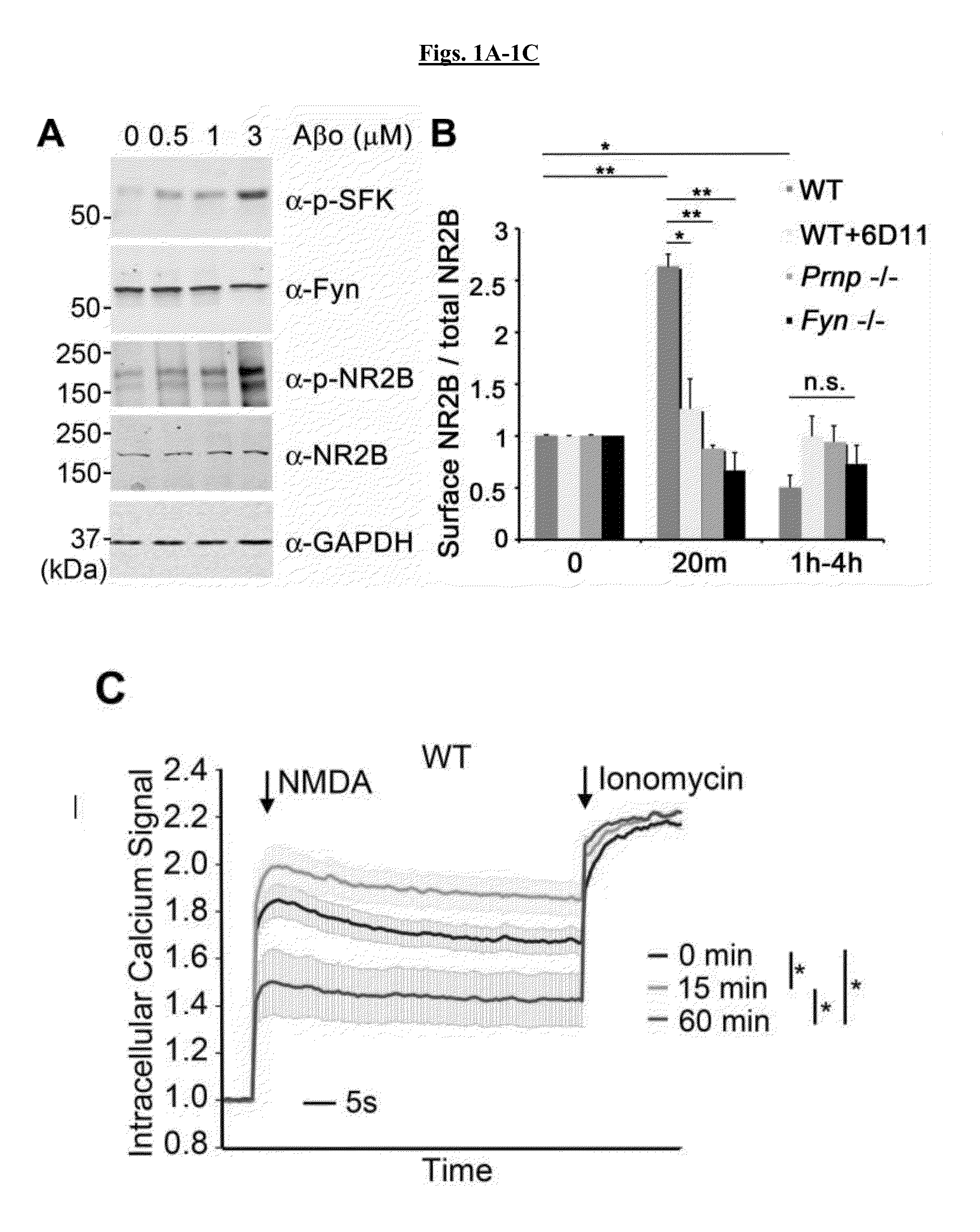 Compositions and methods for treating a -modulated disease or disorder or improving cognition in a subject