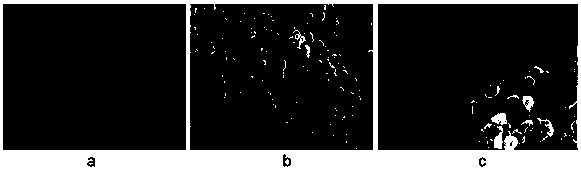 Preparation method of oleanolic acid slow-releasednano-microcapsule