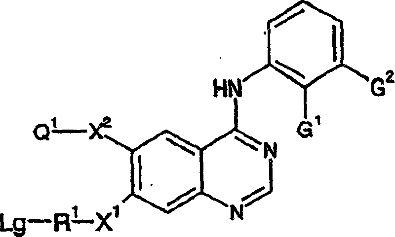 4-anilino quinazoline derivatives as antiproliferative agents