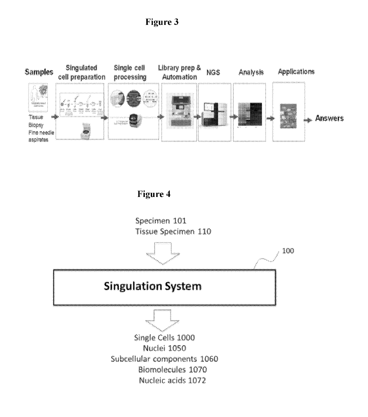 Method and apparatus for processing tissue samples