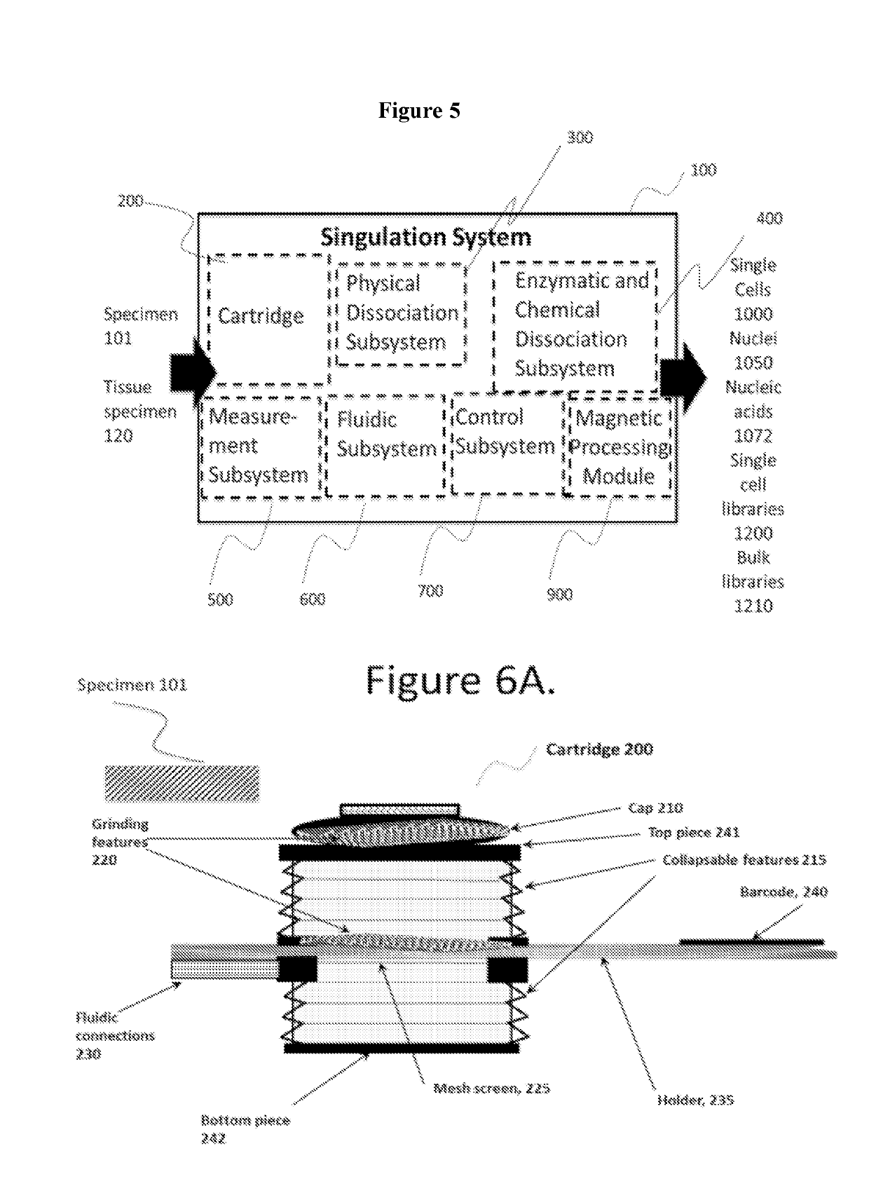 Method and apparatus for processing tissue samples