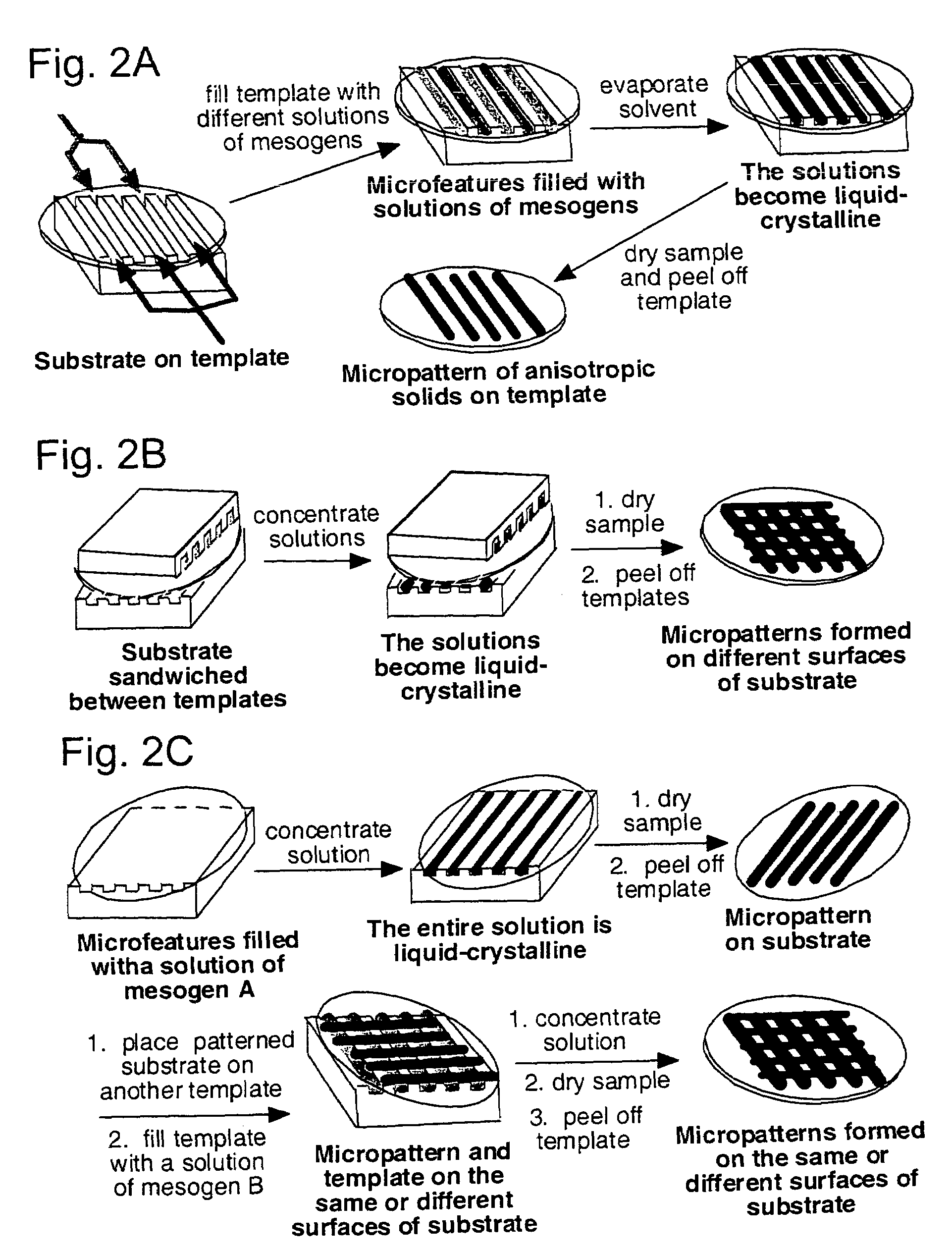 Materials and methods for the preparation of anisotropically-ordered solids