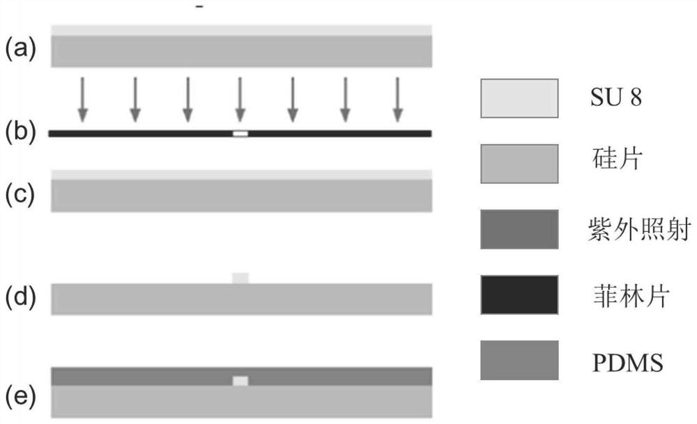 Acoustic micro-fluidic system for cell fusion as well as preparation method and application of acoustic micro-fluidic system