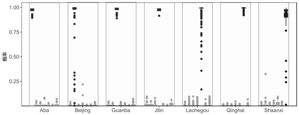 Method for tracking honey source of honey by utilizing metagenome and machine learning