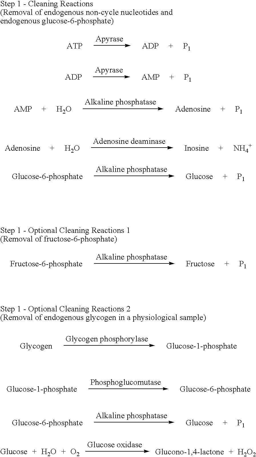 Enzymatic fluorimetric assay of camp and adenylate cyclase