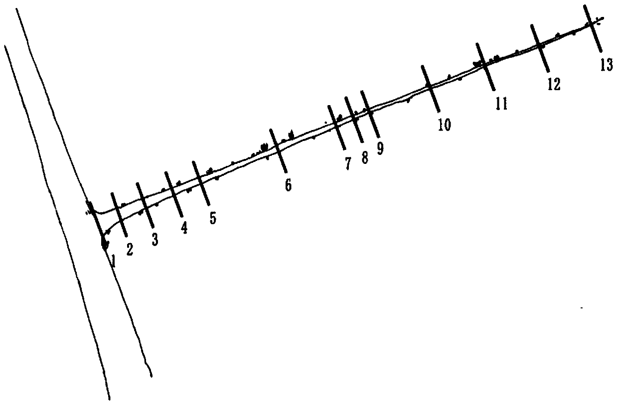 Pruning method capable of promoting walnut tree internal branching