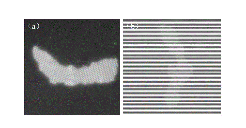 Fluorescent dark field microscopy device and method based on waveguide constraint