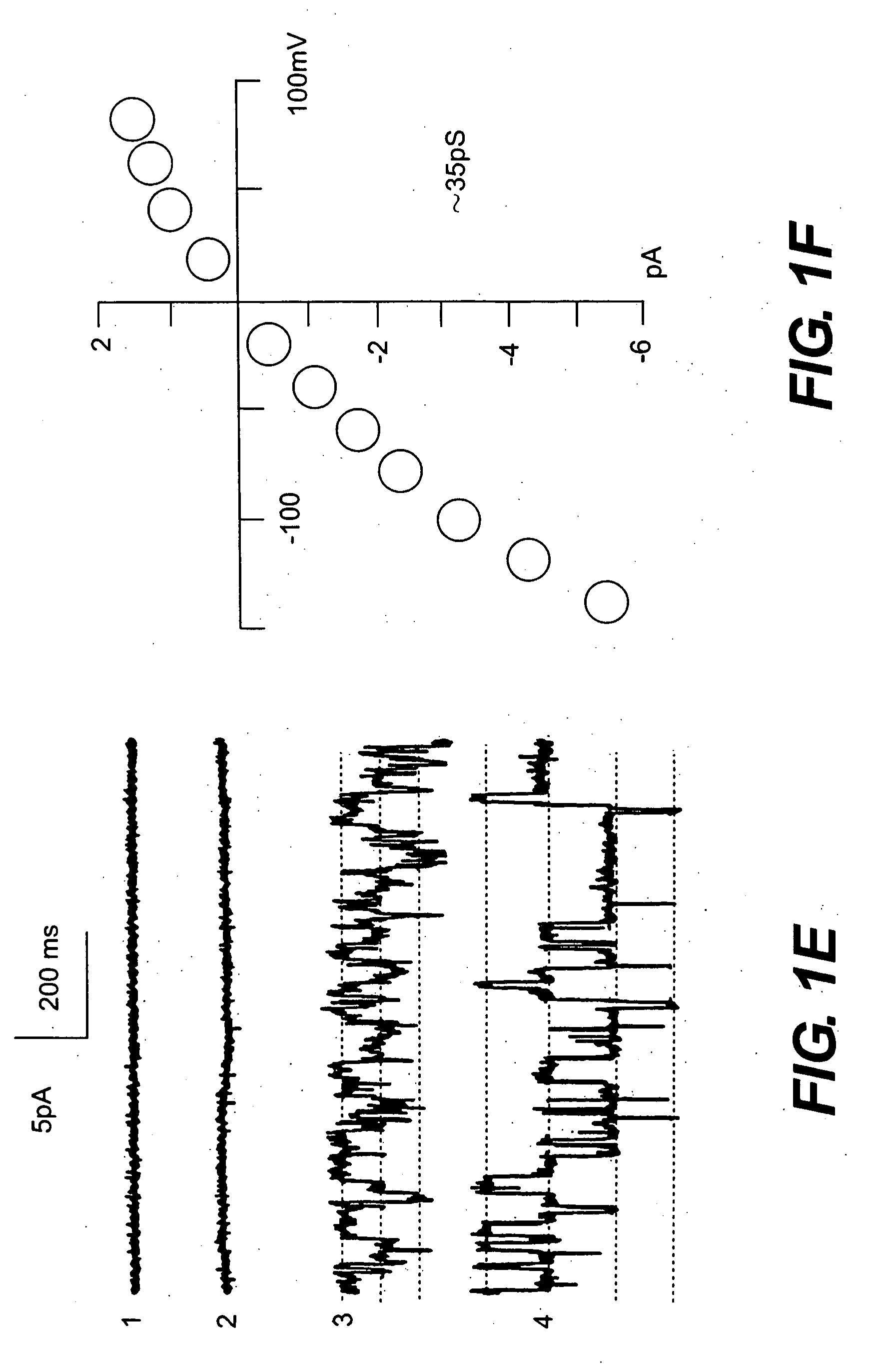 Novel non-selective cation channel in neuronal cells and methods for treating brain swelling