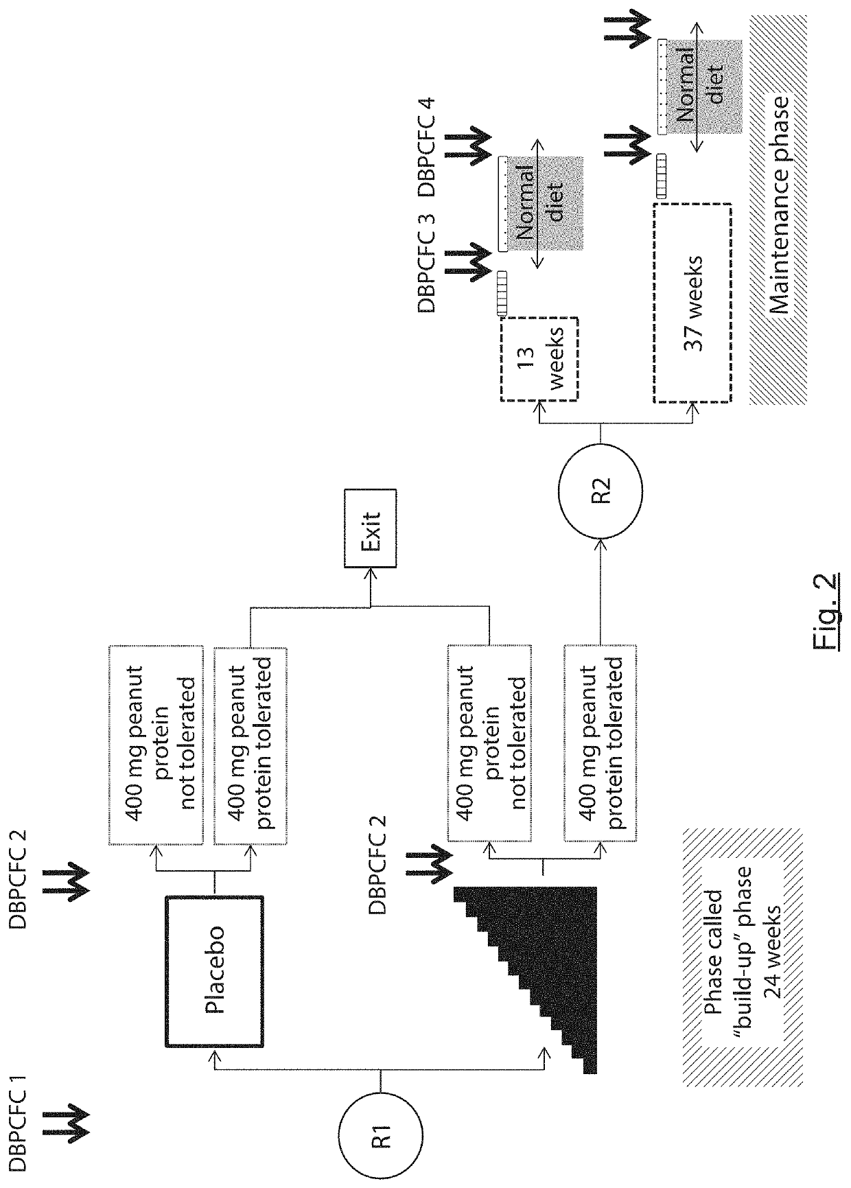 Gastrointestinal release capsule for use in a method for desensitising and/or inducing tolerance in a patient with a peanut allergy